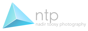 NTP Logo